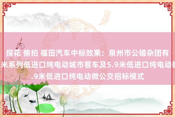 探花 偷拍 福田汽车中标效果:泉州市公错杂团有限连累公司8.5米系列低进口纯电动城市客车及5.9米低进口纯电动微公交招标模式