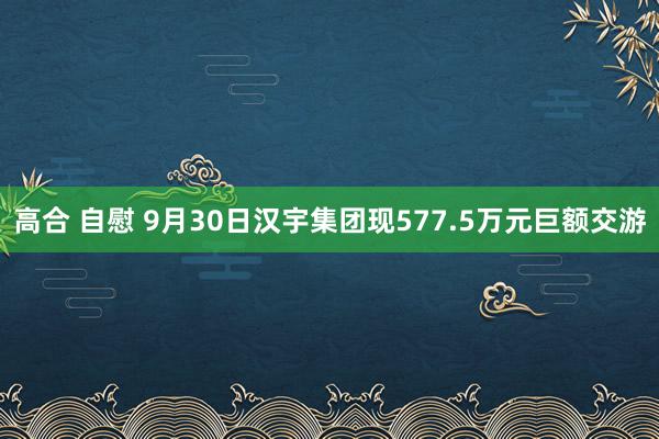 高合 自慰 9月30日汉宇集团现577.5万元巨额交游