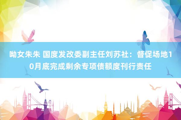 呦女朱朱 国度发改委副主任刘苏社:督促场地10月底完成剩余专项债额度刊行责任