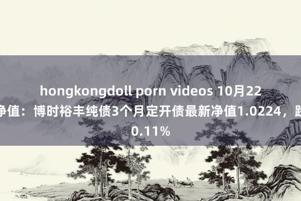 hongkongdoll porn videos 10月22日基金净值:博时裕丰纯债3个月定开债最新净值1.0224,跌0.11%