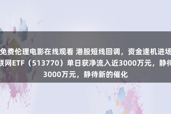 免费伦理电影在线观看 港股短线回调,资金逢机进场,港股互联网ETF(513770)单日获净流入近3000万元,静待新的催化