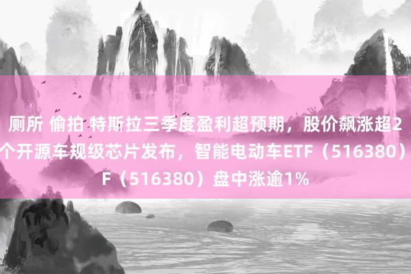 厕所 偷拍 特斯拉三季度盈利超预期,股价飙涨超21%!中国首个开源车规级芯片发布,智能电动车ETF(516380)盘中涨逾1%