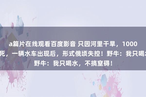 a篇片在线观看百度影音 只因河里干旱,1000头野牛将近渴死,一辆水车出现后,形式俄顷失控!野牛:我只喝水,不搞窒碍!