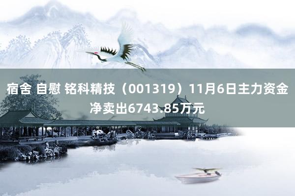 宿舍 自慰 铭科精技(001319)11月6日主力资金净卖出6743.85万元