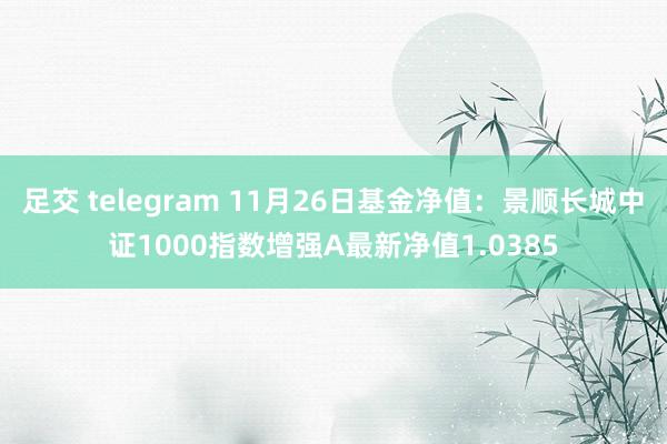 足交 telegram 11月26日基金净值:景顺长城中证1000指数增强A最新净值1.0385