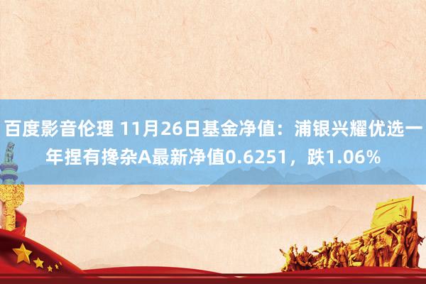 百度影音伦理 11月26日基金净值:浦银兴耀优选一年捏有搀杂A最新净值0.6251,跌1.06%