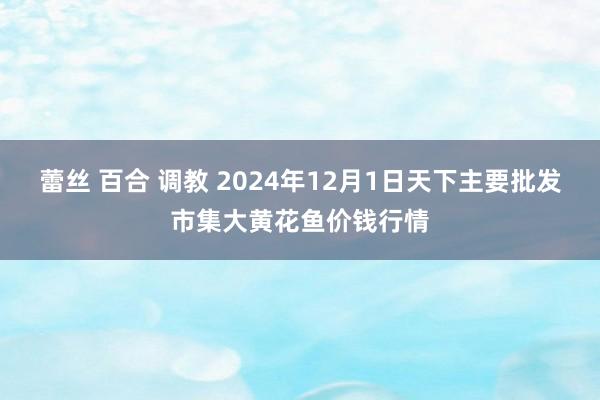 蕾丝 百合 调教 2024年12月1日天下主要批发市集大黄花鱼价钱行情