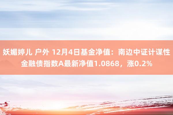 妖媚婷儿 户外 12月4日基金净值：南边中证计谋性金融债指数A最新净值1.0868，涨0.2%