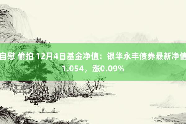 自慰 偷拍 12月4日基金净值：银华永丰债券最新净值1.054，涨0.09%