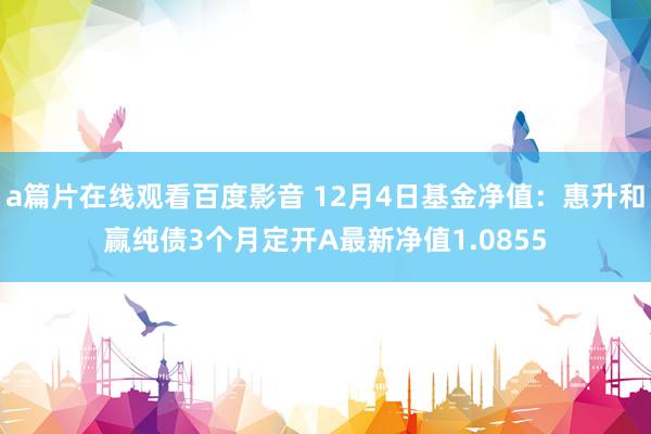 a篇片在线观看百度影音 12月4日基金净值:惠升和赢纯债3个月定开A最新净值1.0855