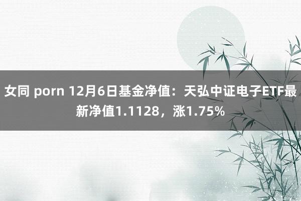 女同 porn 12月6日基金净值:天弘中证电子ETF最新净值1.1128,涨1.75%