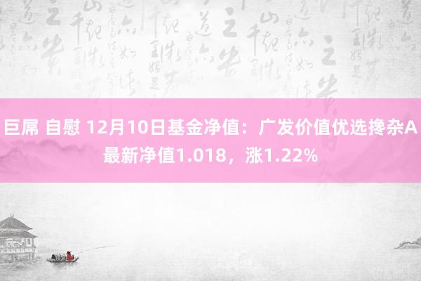 巨屌 自慰 12月10日基金净值:广发价值优选搀杂A最新净值1.018,涨1.22%