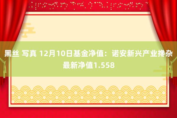 黑丝 写真 12月10日基金净值:诺安新兴产业搀杂最新净值1.558