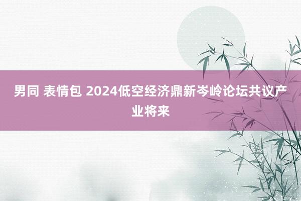 男同 表情包 2024低空经济鼎新岑岭论坛共议产业将来
