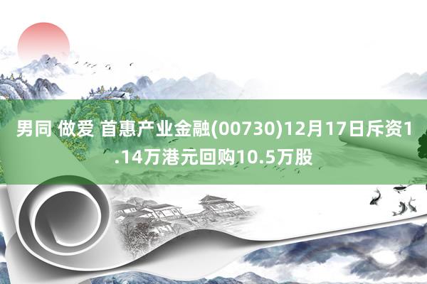 男同 做爱 首惠产业金融(00730)12月17日斥资1.14万港元回购10.5万股