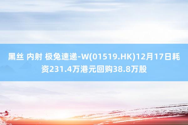 黑丝 内射 极兔速递-W(01519.HK)12月17日耗资231.4万港元回购38.8万股