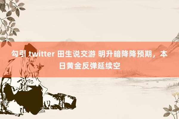 勾引 twitter 田生说交游 明升暗降降预期,本日黄金反弹延续空