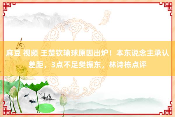 麻豆 视频 王楚钦输球原因出炉！本东说念主承认差距，3点不足樊振东，林诗栋点评