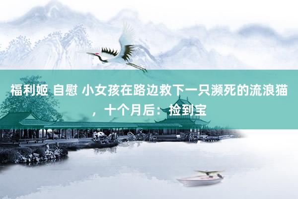 福利姬 自慰 小女孩在路边救下一只濒死的流浪猫,十个月后:捡到宝