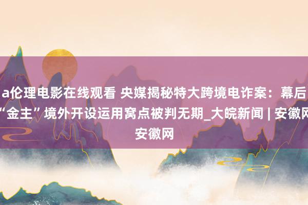 a伦理电影在线观看 央媒揭秘特大跨境电诈案:幕后“金主”境外开设运用窝点被判无期_大皖新闻 | 安徽网