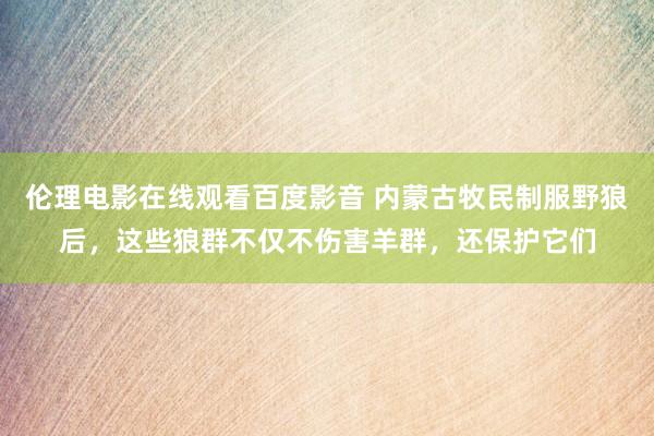 伦理电影在线观看百度影音 内蒙古牧民制服野狼后，这些狼群不仅不伤害羊群，还保护它们
