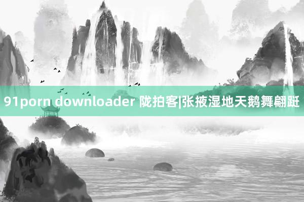 91porn downloader 陇拍客|张掖湿地天鹅舞翩跹