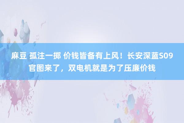 麻豆 孤注一掷 价钱皆备有上风！长安深蓝S09官图来了，双电机就是为了压廉价钱