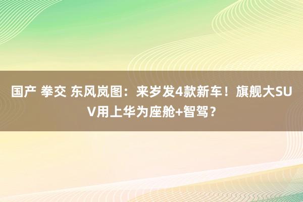 国产 拳交 东风岚图:来岁发4款新车!旗舰大SUV用上华为座舱+智驾?