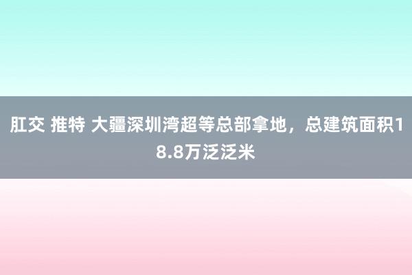 肛交 推特 大疆深圳湾超等总部拿地,总建筑面积18.8万泛泛米