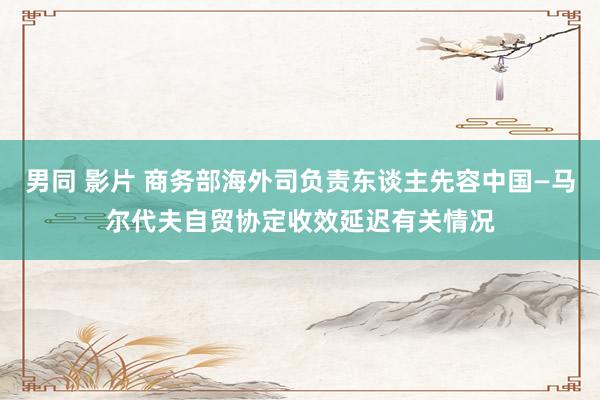 男同 影片 商务部海外司负责东谈主先容中国—马尔代夫自贸协定收效延迟有关情况
