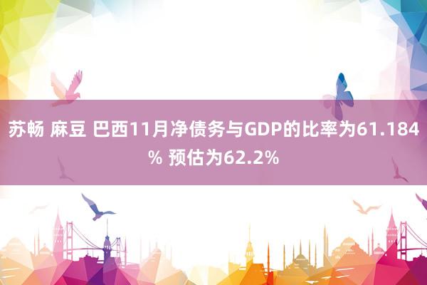 苏畅 麻豆 巴西11月净债务与GDP的比率为61.184% 预估为62.2%