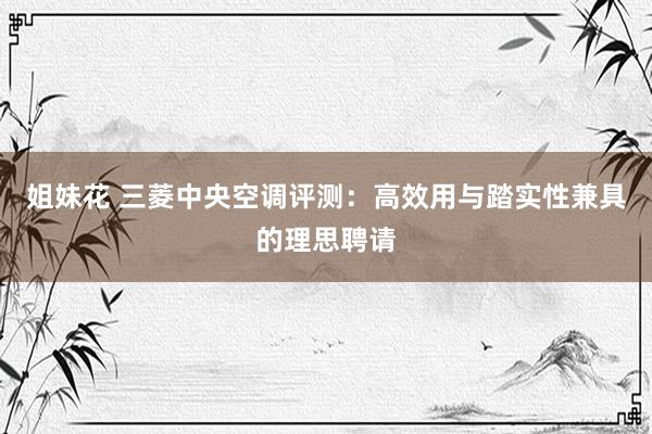 姐妹花 三菱中央空调评测:高效用与踏实性兼具的理思聘请