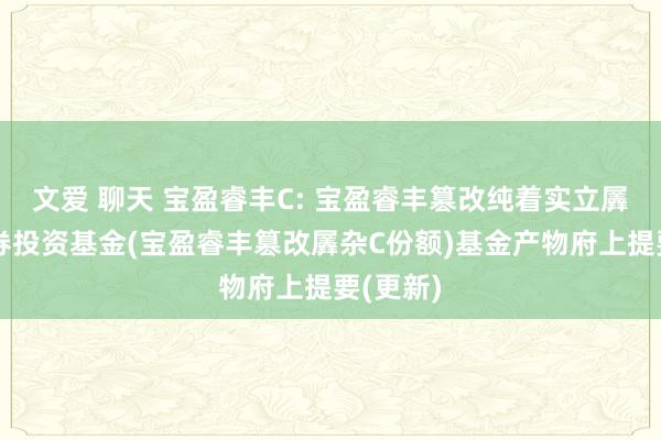 文爱 聊天 宝盈睿丰C: 宝盈睿丰篡改纯着实立羼杂型证券投资基金(宝盈睿丰篡改羼杂C份额)基金产物府上提要(更新)
