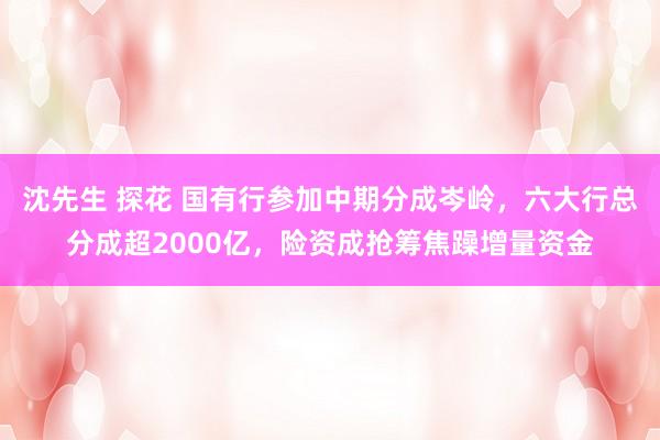 沈先生 探花 国有行参加中期分成岑岭,六大行总分成超2000亿,险资成抢筹焦躁增量资金