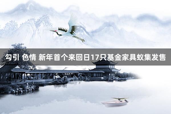 勾引 色情 新年首个来回日17只基金家具蚁集发售