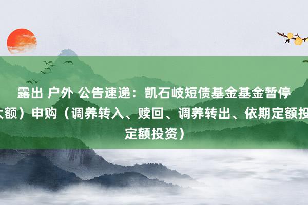 露出 户外 公告速递:凯石岐短债基金基金暂停(大额)申购(调养转入、赎回、调养转出、依期定额投资)