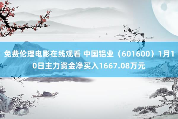 免费伦理电影在线观看 中国铝业(601600)1月10日主力资金净买入1667.08万元