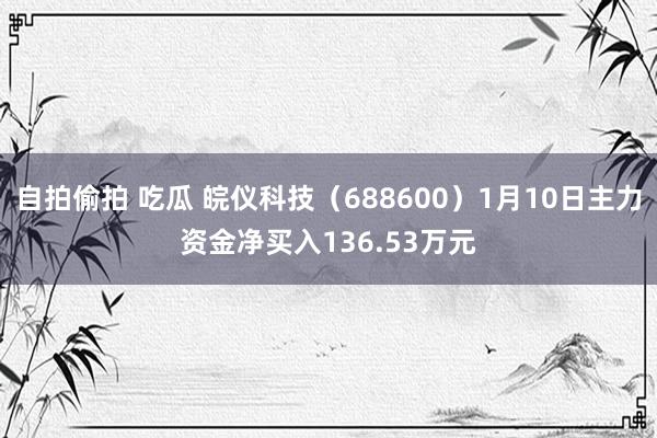 自拍偷拍 吃瓜 皖仪科技（688600）1月10日主力资金净买入136.53万元