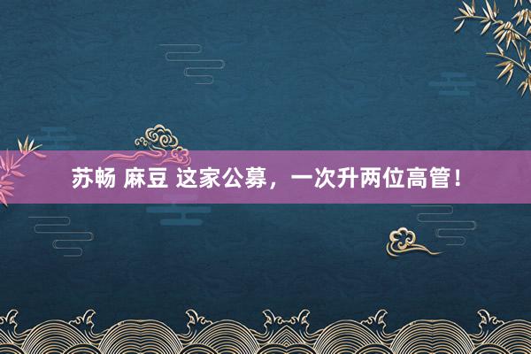苏畅 麻豆 这家公募,一次升两位高管!