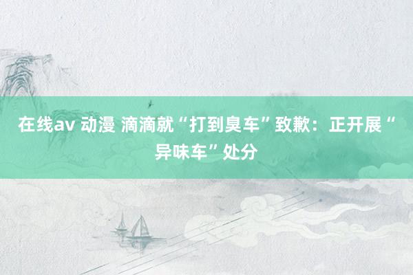 在线av 动漫 滴滴就“打到臭车”致歉:正开展“异味车”处分