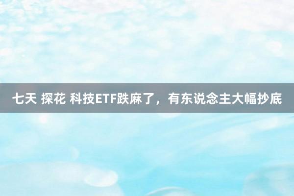 七天 探花 科技ETF跌麻了，有东说念主大幅抄底