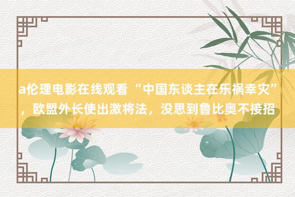 a伦理电影在线观看 “中国东谈主在乐祸幸灾”,欧盟外长使出激将法,没思到鲁比奥不接招