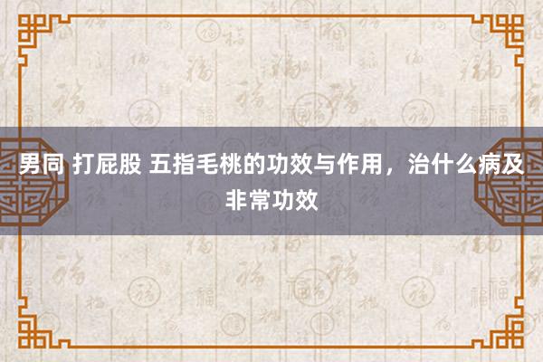 男同 打屁股 五指毛桃的功效与作用,治什么病及非常功效
