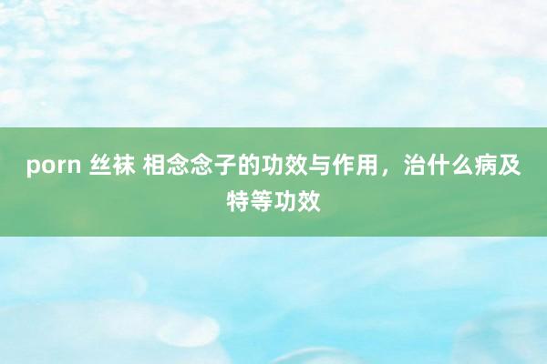 porn 丝袜 相念念子的功效与作用,治什么病及特等功效