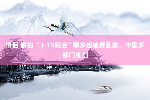 情侣 偷拍 “3·15晚会”曝多起破费乱象,中国多部门亮剑