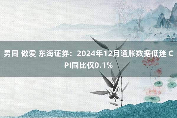 男同 做爱 东海证券：2024年12月通胀数据低迷 CPI同比仅0.1%