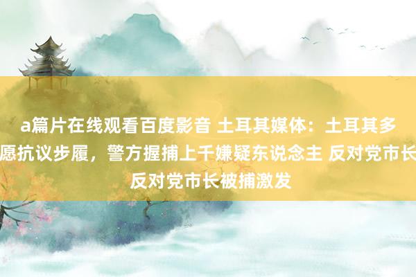a篇片在线观看百度影音 土耳其媒体:土耳其多地爆发请愿抗议步履,警方握捕上千嫌疑东说念主 反对党市长被捕激发
