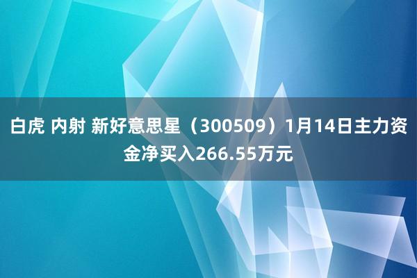 白虎 内射 新好意思星(300509)1月14日主力资金净买入266.55万元