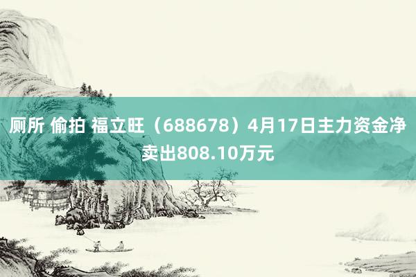 厕所 偷拍 福立旺（688678）4月17日主力资金净卖出808.10万元