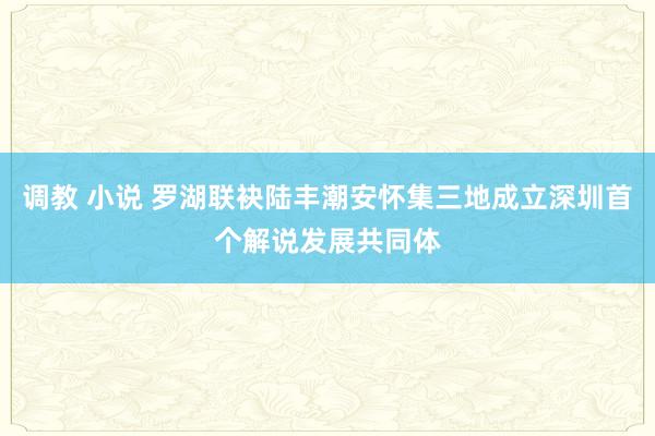 调教 小说 罗湖联袂陆丰潮安怀集三地成立深圳首个解说发展共同体